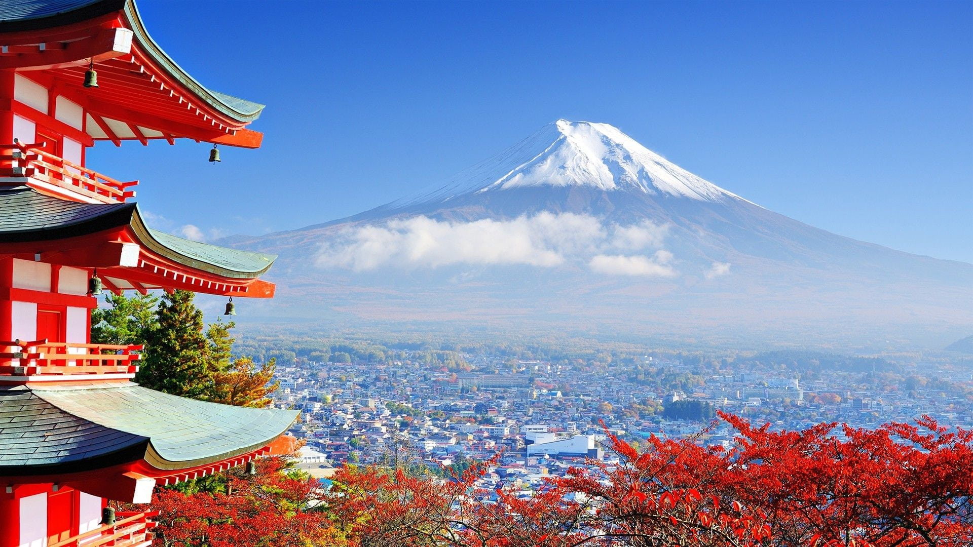 Mount Fuji and Hakone Private Day Trip with English Guide